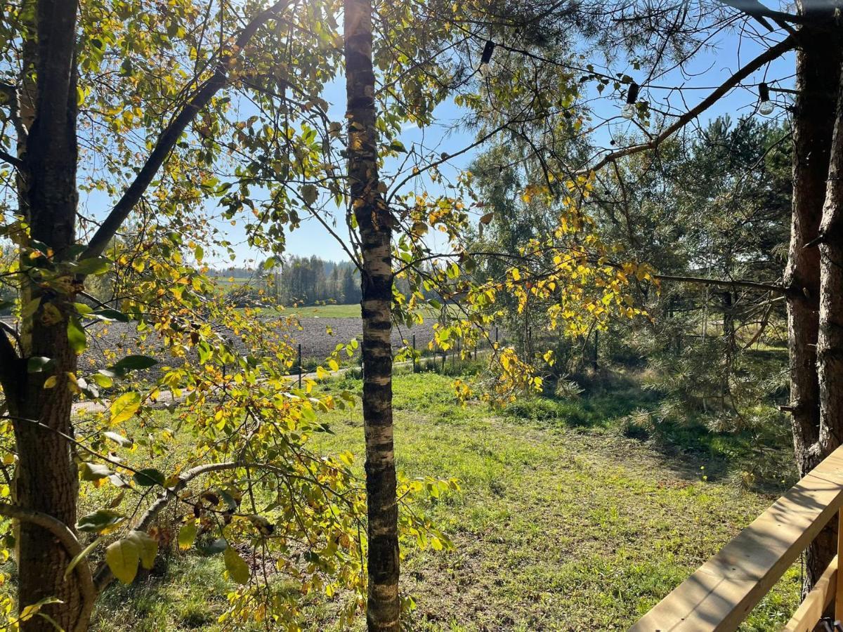 High-Q Villa Kowalewo Dış mekan fotoğraf